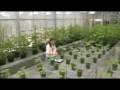 The World According to Monsanto part 1 of 10