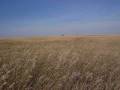 videos de 20080927_34.AVI