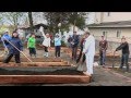 Can You Dig It - Together We Can All Plant a Seed