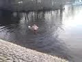 lorenzo jumpin in the water dwn balloch
