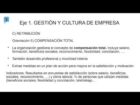 04 VIDEOPÍLDORA: Compensación total. Sistemas de evaluación de satisfacción y motivación