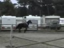 Ellie & Alfie 27th of August Jumping Ellie & Alfie 27th of August Jumping
