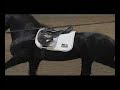 Leendert Leopold Vid part 1