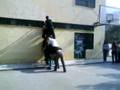 videos de makria gaidoura 2o lukeio ymmitou!