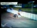 videos de coleo I fase tauramena andres-emperador