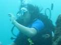 videos de diving in benoa, kuta-bali