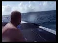 Seacart 30 Shower