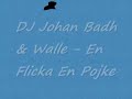DJ Johan Badh & Walle - En Flicka En Pojke