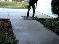 Short Front Yard Montage