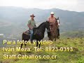 Cabalgata Colegio San Luis Gonzaga