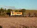 EM Baldwin cane train 'Delan'