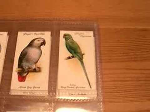 Aviary & Cage Birds On 1930's ...