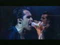 Litfiba - Animale di Zona [Live]