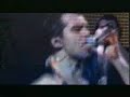 Litfiba - Animale di Zona [Live]