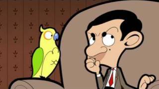 MrBean - Mr Bean - Pet Parrot