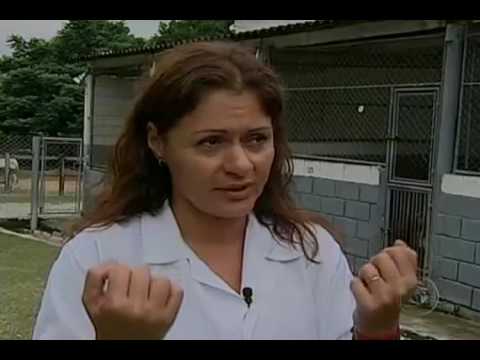ataque de pitbull