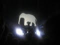 chemical brothers effervessonne 2005