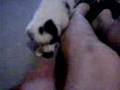 Lara's first day at home