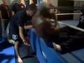 KIMBO DAY at ELITE MMA