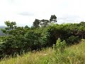 lote en filandia quindio