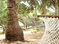 Uti Levu Gang @ Fiji