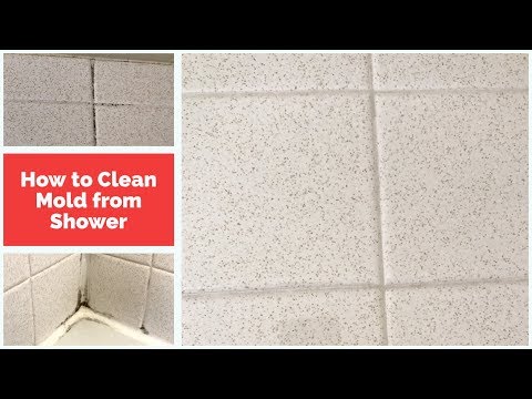 video-linktoworks-Cleaning Mold: How to Remove Mold From Shower Wall...