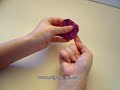 Origami Lotus Instructions