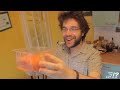 NOURRITURE, ANNONCE ET DOCUMENTAIRE (Saison 1 Épisode 24)