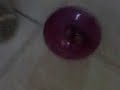 Munchkin in Wheel