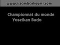 Championnat du monde Yoseikan Budo