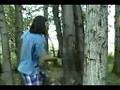 Forest War