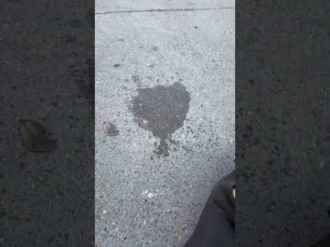 Texaco - Fuel quality - Image 3