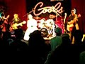COOLS LIVE In Ayabe City ?Dreming?Peppemints