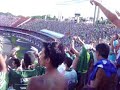 palmeiras x gambas
