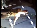 03-Dream On -Celldweller & Growling Machines Live in Brazil