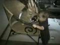 videos de Gatoboxeador