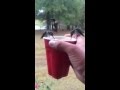 Minum Bareng Burung Kolibri
