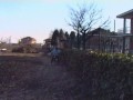 Ale e Alberto battono la pista sottocasa: una stronzata