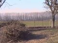 Ale e Alberto battono la pista sottocasa: una stronzata
