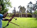 Shots with Hoyt Protec 2000b