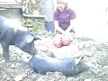 little john meets his 75 kg aunt betty...a few month ago suddenly betty s little brother died. to stop her sadness we bought her a new one. see how they need time to get used to each other, share their first morningpee- that lasts for over a minute- and go out for a walk...