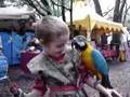 Ren-Faire-Felix-1-Th