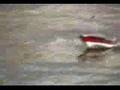 RC Riva Ariston Mahogany speed boat Part 2