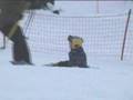 O-Prey-Family-Skiing