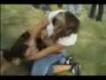 chick fight