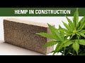 Food Products Made With Hemp
