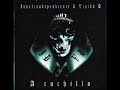 InsulinoDependiente & Vision D-02.A cuchillo
