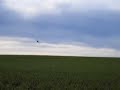 Ag Cat Spraying
