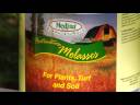 Lawn & Gardening Tips : How to Get Rid of Fire Ants Lawn & Gardening Tips : How to Get Rid of Fire Ants