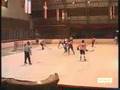 videos de Wizards Bologna Hockey - Phoenix Palermo 10-4 del 12/02/2005